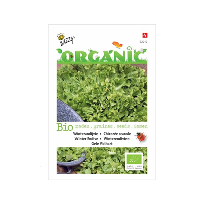 Zaden Organic Andijvie Gele Volhart (BIO) Buzzy - Buzzy Zaden Organic Andijvie Gele Volhart (BIO) Buzzy - Buzzy