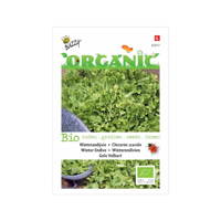Zaden Organic Andijvie Gele Volhart (BIO) Buzzy - Buzzy - thumbnail