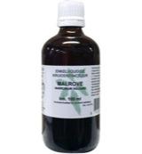 Natura Sanat Marrubium vulg herb / malrove tinctuur (100 ml) - thumbnail