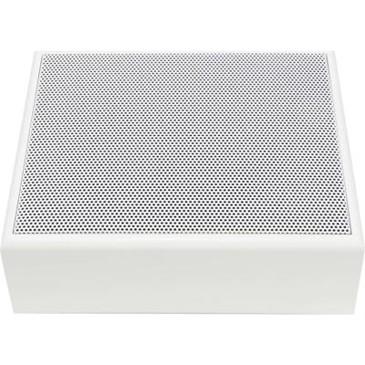 Visaton WL 16 EV - 100 V Wandluidspreker Wit 1 stuk(s)