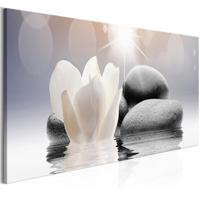 Schilderij - Waterlelie en stenen, print op echt Italiaans canvas, Zen moment, voor woonkamer, slaapkamer en praktijkruimte - thumbnail