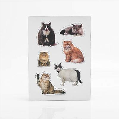 Mosterd Dikke Kat Magneten - 12 stuks