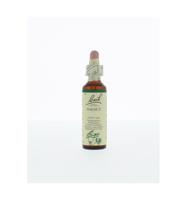 Bach Flower Remedie 33 Walnut 20ml - thumbnail