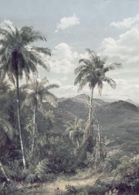 Noordwand Komar Raw Fotobehang The Exotic Land - R2-006