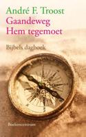 Gaandeweg Hem tegemoet - Andre Troost - eBook (9789023929086) - thumbnail