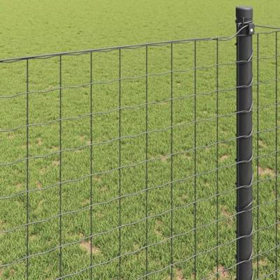 Euro Hek Grijs 0.8 x 25 m PVC-gecoat ijzer - thumbnail