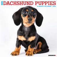Teckel Puppies Kalender 2026 - thumbnail