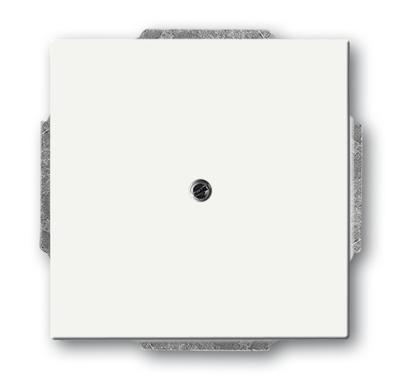 Busch-Jaeger 2CKA001710A3878 Afdekking Verkeerswit, Wit 1 stuk(s)