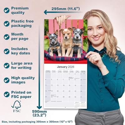 Australian Cattle Dog Kalender 2026 Australian Cattle Dog Kalender 2026