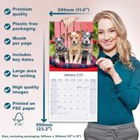 Australian Cattle Dog Kalender 2026 - thumbnail