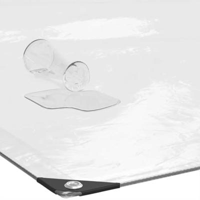 VidaXL Doorzichtig afdekzeil met ogen 2x2 m polyethyleen
