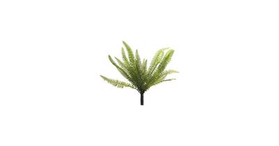 Nephrolepis Boston green 40 cm kunstplant Erutan Avon - Erutan avon