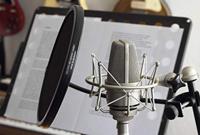 Neumann TLM 103 Studio Set grootmembraan studiomicrofoon - thumbnail