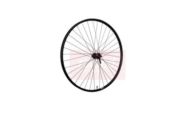 Roland voorwiel 28" ryde rival21 hbm5100