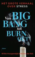 Van big bang tot burn-out - Witte Hoogendijk, Wilma de Rek - ebook - thumbnail