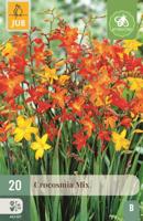 Crocosmia mix 20st bloembol zomer JUB - Jub - thumbnail