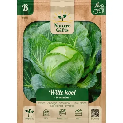 Witte kool brunswijker 50st Witte kool brunswijker 50st