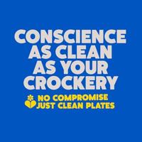 Ecover Spoelmiddel Vaatwasser - thumbnail