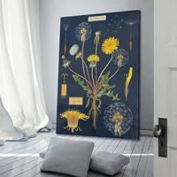 Samsung Galaxy A56 5G 128 GB Graphite Energielabel B (A - G) 17 cm (6.7 inch) Smartphone - thumbnail