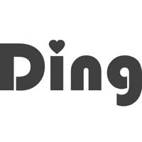 Ding Achteruitkijkspiegel - thumbnail