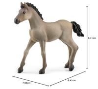 Schleich horse club criollo definitivo veulen 13949 - thumbnail
