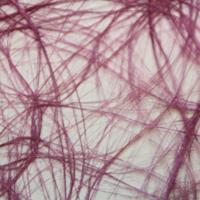 Vaessen Creative • sizoweb 5mx30cm in koker oudroze - thumbnail