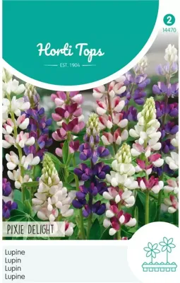 Zaden Lupinus Lupine Pixie Delight gemengd Hortitops - Hortitops
