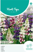 Zaden Lupinus Lupine Pixie Delight gemengd Hortitops - Hortitops - thumbnail