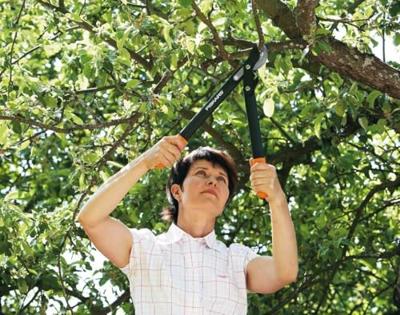 Fiskars PowerGear II takkenschaar bypass L46cm L72 - 1001555 - 1001555 - thumbnail