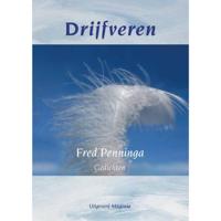 Drijfveren (Paperback) - thumbnail