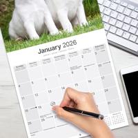 Fox Terrier Kalender 2026 - thumbnail