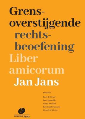 Grensoverstijgende rechtsbeoefening (Paperback)