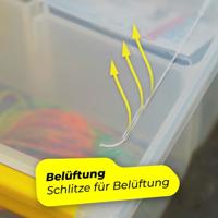 Spro TBX Medium 25 Box Clear - thumbnail