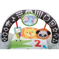 Fisher Price - 2-In-1 Activiteiten Gym - Speelgoed (0887961687330) - thumbnail