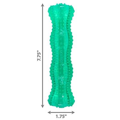 KONG SQUEEZZ DENTAL STICK MINTGROEN 5X5X20,5 CM
