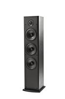 Polk Audio T50 Luidspreker, Zuilluidspreker voor Home Cinema en Muziek, Speaker met 20-150 Watt, Universele Poolklemmen, Ondersteunt Dolby, Staande Speaker, 30 kHz, Diepe Bas, Zwart - thumbnail