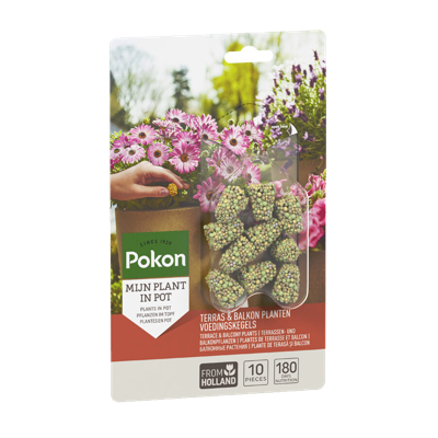 Pokon Terras & Balkon Planten Voedingskegels 10 stuks
