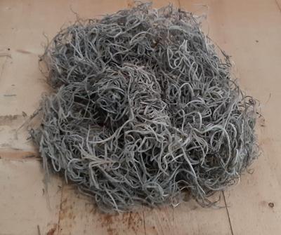 Tillandsia Tilandsia mos in bakje/zakje circa 1 liter Warentuin Natuurlijk - Warentuin natuurlijk