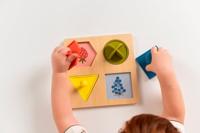 Vormpuzzel - TAFTOYS meerkleurig - thumbnail