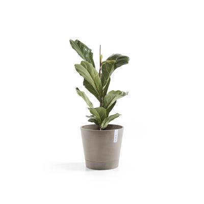 Ecopots Venice kunststof bloempot Taupe - Ø 37,7 cm Ecopots Venice kunststof bloempot Taupe - Ø 37,7 cm