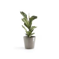 Ecopots Venice kunststof bloempot Taupe - Ø 37,7 cm - thumbnail
