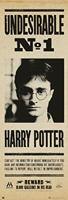 Poster Harry Potter - Undesirable nr 1 53x158cm - thumbnail