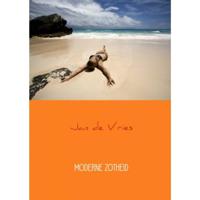 Moderne Zotheid - Jan de Vries - Paperback (9789462546097) - thumbnail