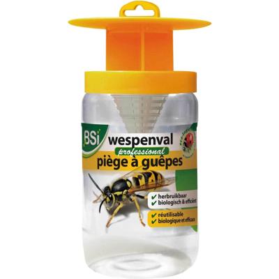 BSI wespenval