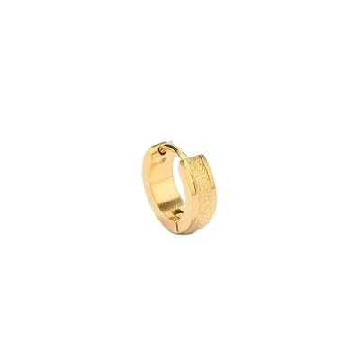 Oorbellen Dames Radiant RH000161 Gouden 1 Stuks