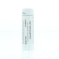 Homeoden Heel Causticum LM1 6 Gram - thumbnail
