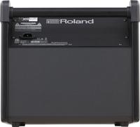Roland PM-100 - thumbnail