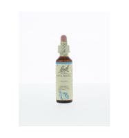 Bach Flower Remedies Bronwater 27 - thumbnail