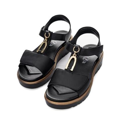 Ara 1233515 - alle Ara 1233515 - alle