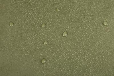 Thule Chasm 40L Duffel Olivine 40L